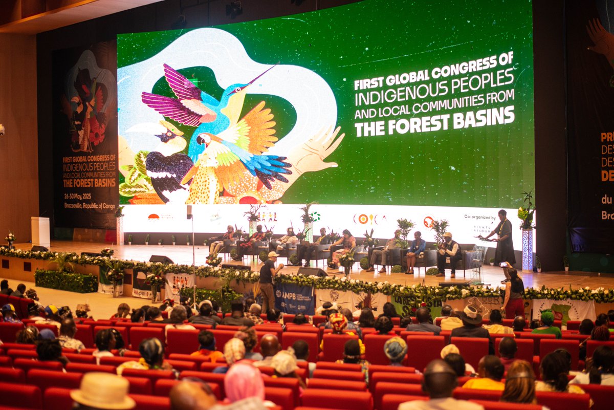 WCS Congo (@wcs_congo) on Twitter photo At the 1st World Congress of Indigenous Peoples in Brazzaville, WCS's commitment to communities was honoured!
Dieudonné Akilimali, from <a href="/WCSRDCONGO/">WCS RD Congo</a> , presented our human rights-based approach.
To learn more about the congress, visit: forestbasincongres2025.org/congres
#indigenouspeople At the 1st World Congress of Indigenous Peoples in Brazzaville, WCS's commitment to communities was honoured!
Dieudonné Akilimali, from <a href="/WCSRDCONGO/">WCS RD Congo</a> , presented our human rights-based approach.
To learn more about the congress, visit: forestbasincongres2025.org/congres
#indigenouspeople