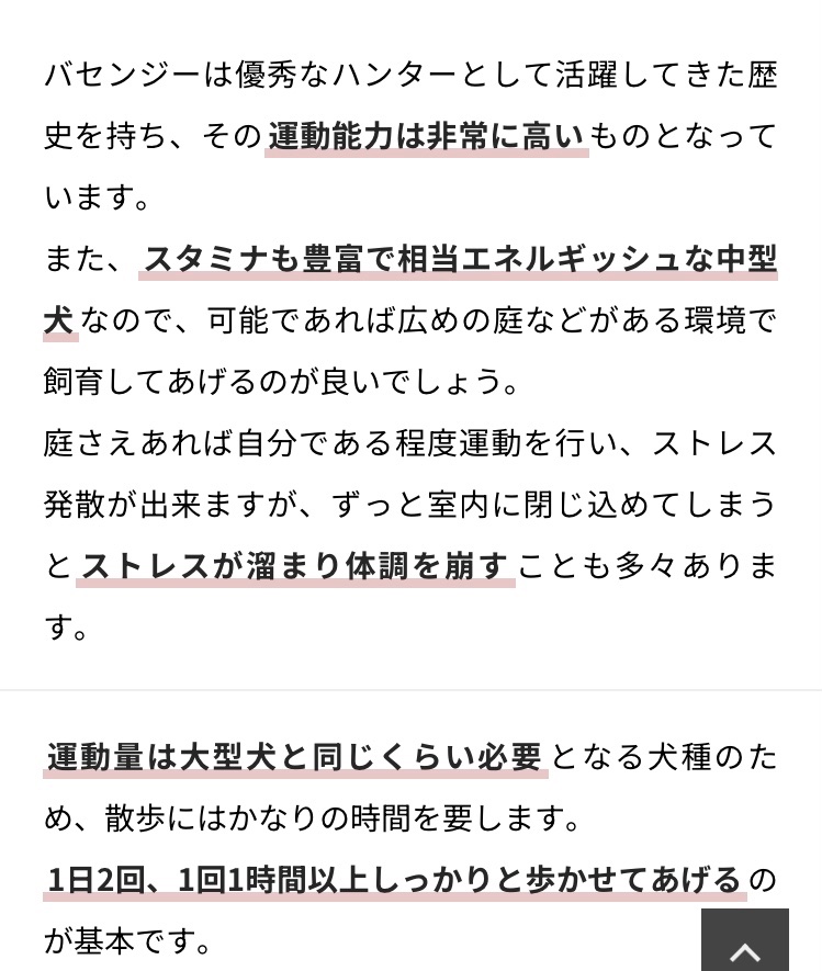 flightyflights's tweet photo. ﾁｬﾝ🐕イメージ https://t.co/UOxu16daKN