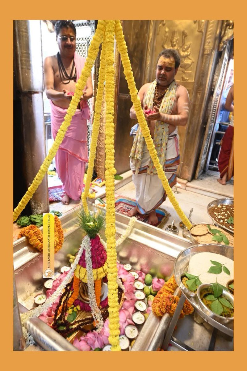श्री काशी विश्वनाथ ज्योतिर्लिंग जी के मध्याह्न काल के दिव्य दर्शन 31.05.2025