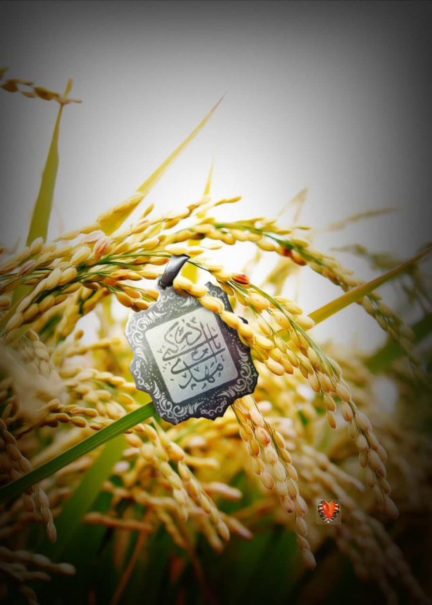 اللهم صل علی محمد و ال محمد و عجل فرجهم