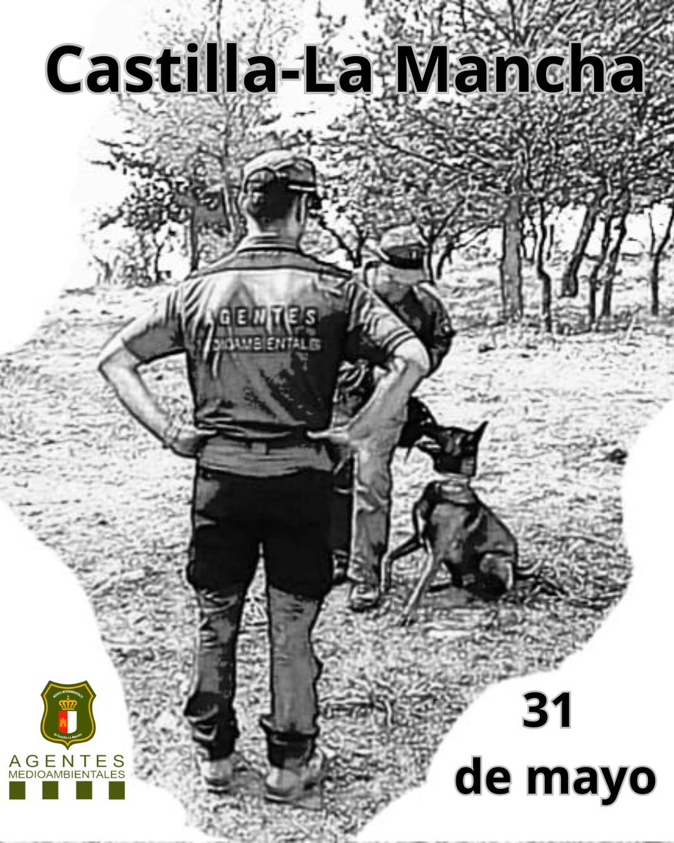 Agentes Medioambientales CLM (@aamm_jccm) on Twitter photo ➡️ Hoy celebramos el #DíadeCastillaLaMancha
✅ El Cuerpo de #AgentesMedioambientales de <a href="/gobjccm/">Gobierno de Castilla-La Mancha</a> vela los 365 días del año por la protección y conservación de todos los rincones naturales de la Región 🟣⚪ ➡️ Hoy celebramos el #DíadeCastillaLaMancha
✅ El Cuerpo de #AgentesMedioambientales de <a href="/gobjccm/">Gobierno de Castilla-La Mancha</a> vela los 365 días del año por la protección y conservación de todos los rincones naturales de la Región 🟣⚪
