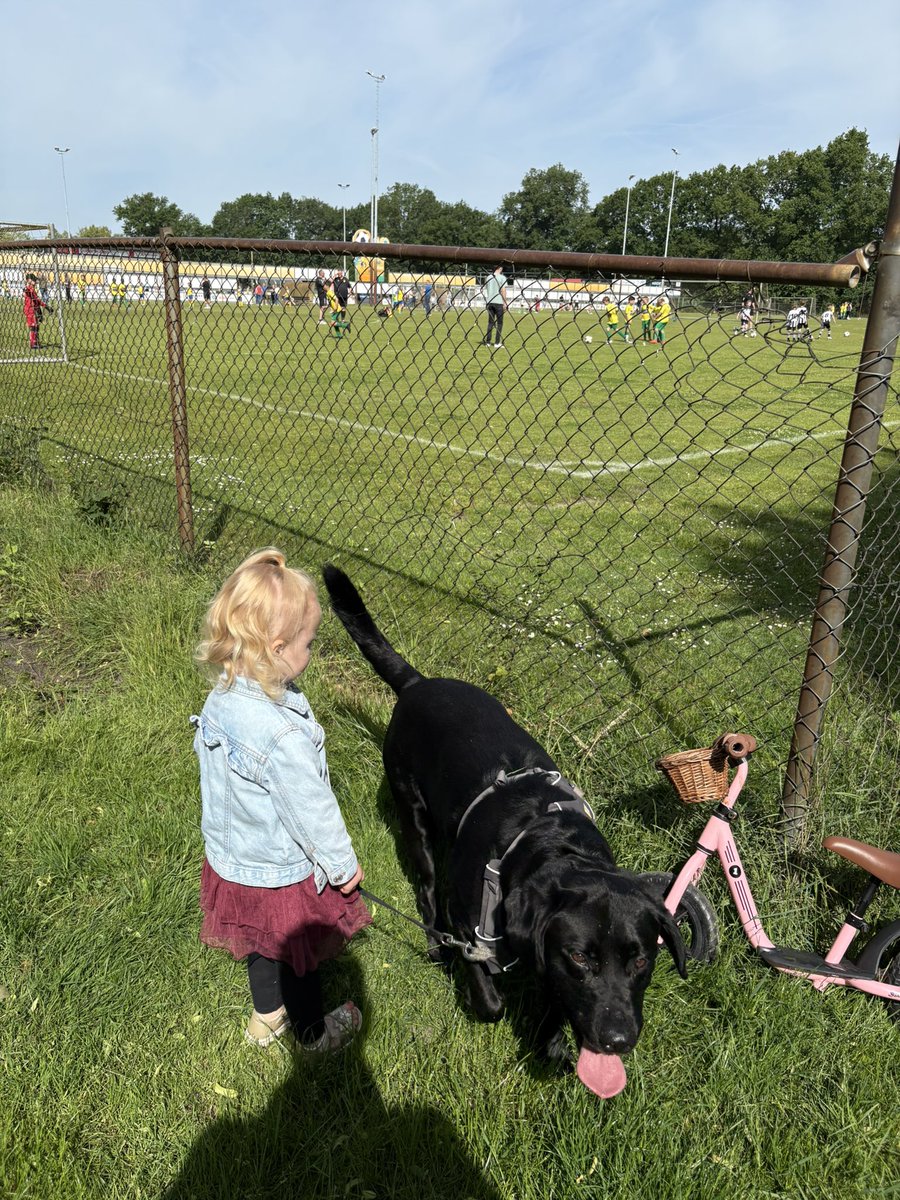 Even interesse aanwakkeren toch 🤝