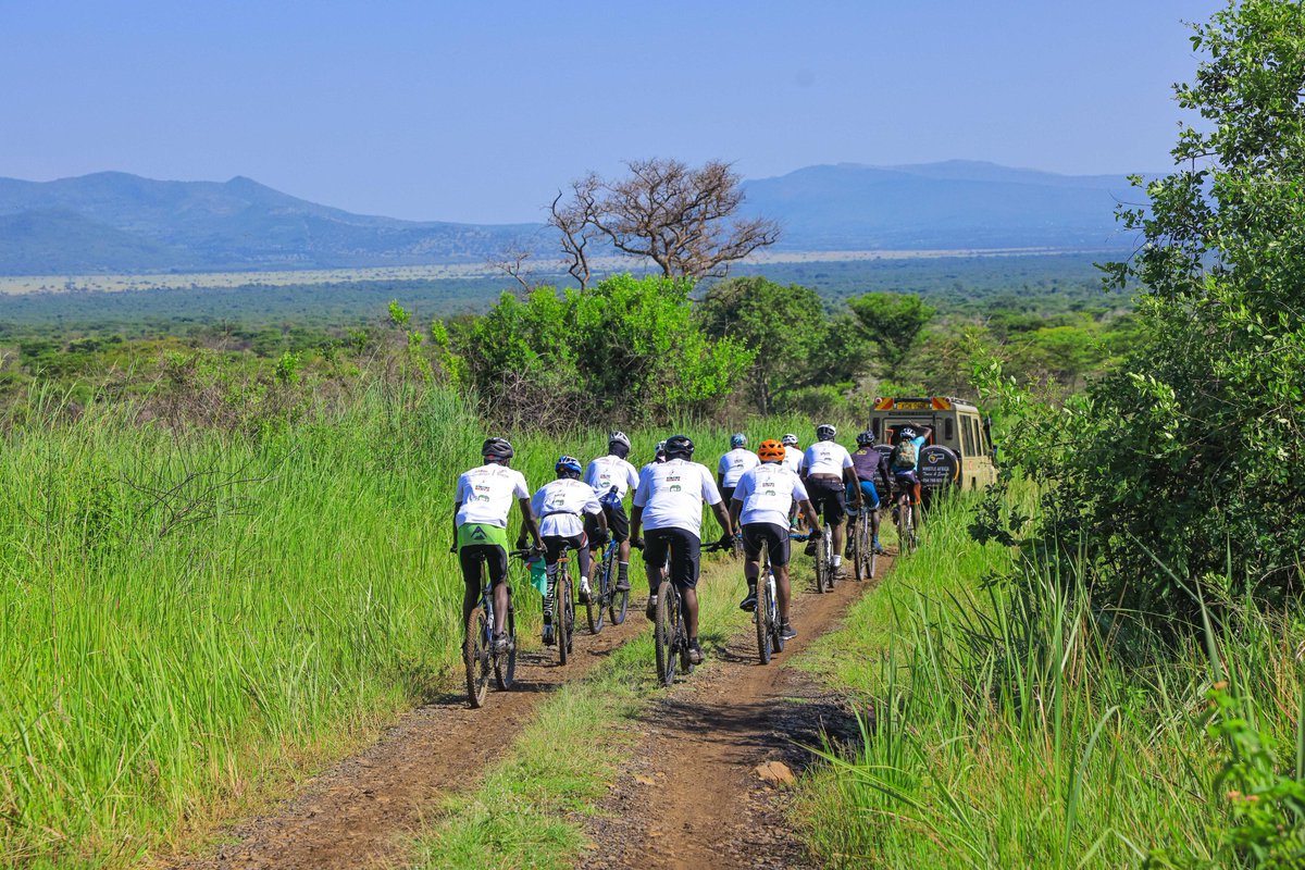 Kenya Tourism Board tweet media