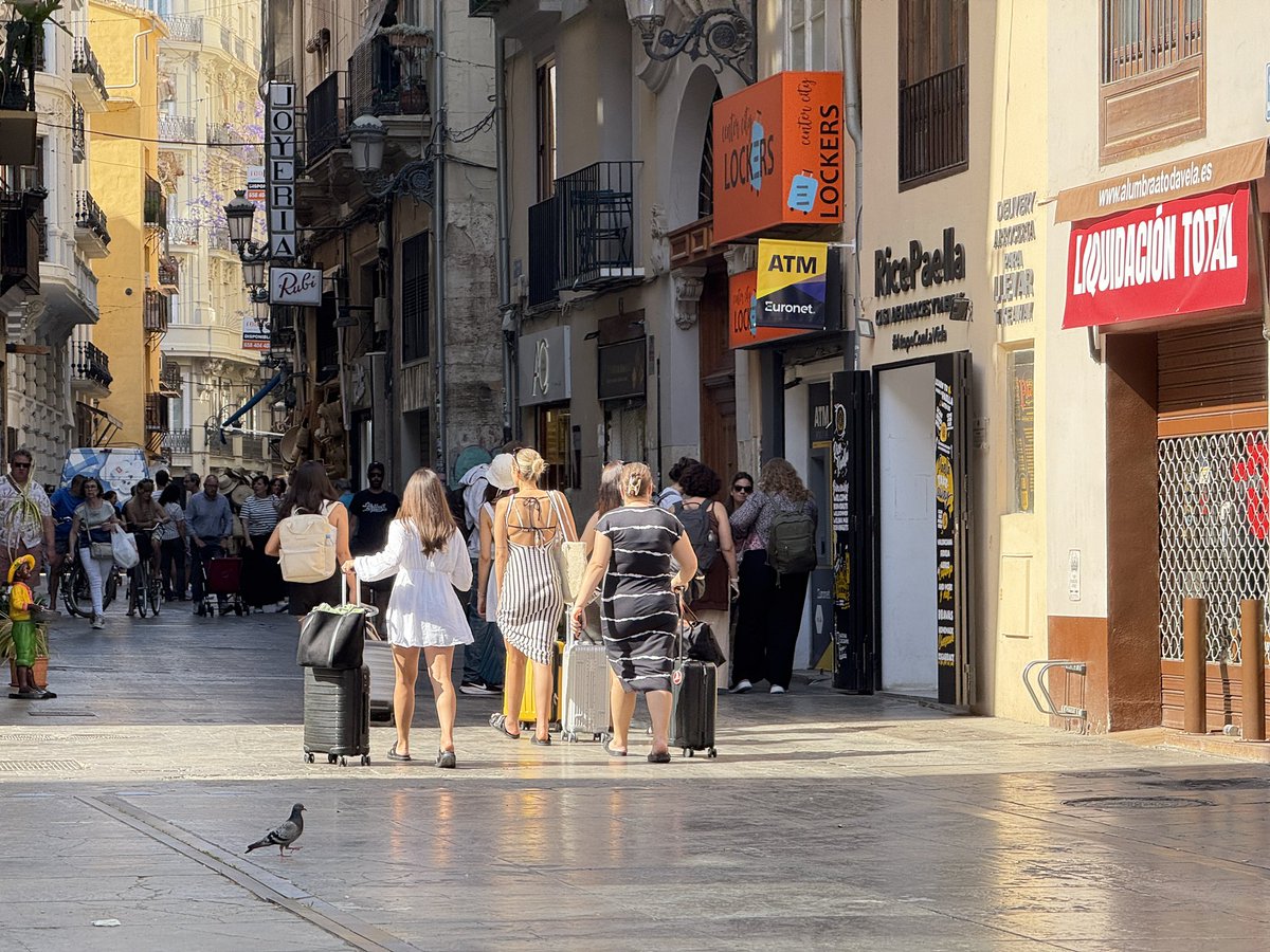 Quan prenga decisions l’<a href="/AjuntamentVLC/">Ajuntament València</a> estarà tot el peix venut. L’únic valencià és el colom.