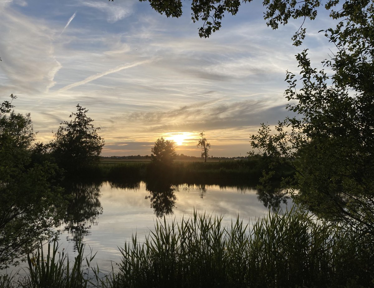 📸 | Gisterenavond werden we nog even verwend! #Maasland