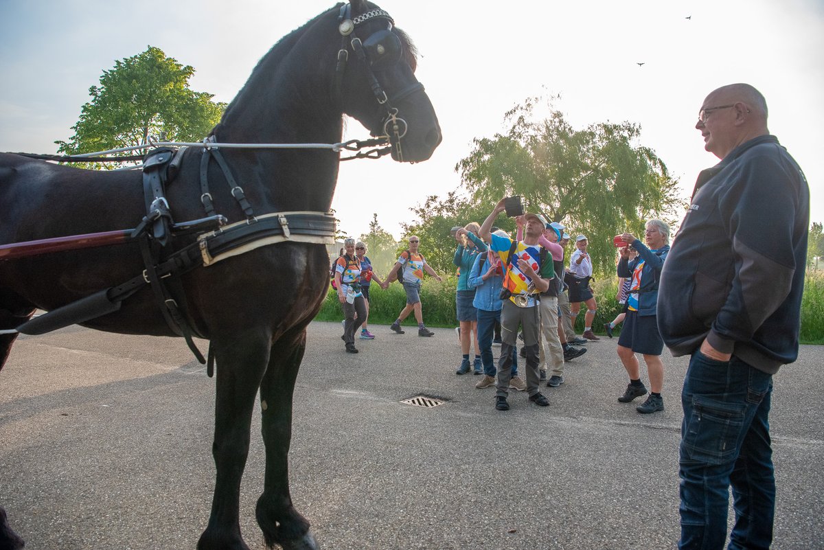 Wandelaars 11-steden doen Dokkum aan - rtvnof.nl/wandelaars-11-…