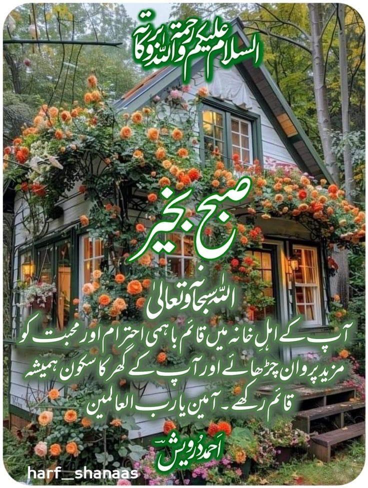 <a href="/asifbut24805101/">asif butt</a> وعلیکم السلام 🌹❤️🌹