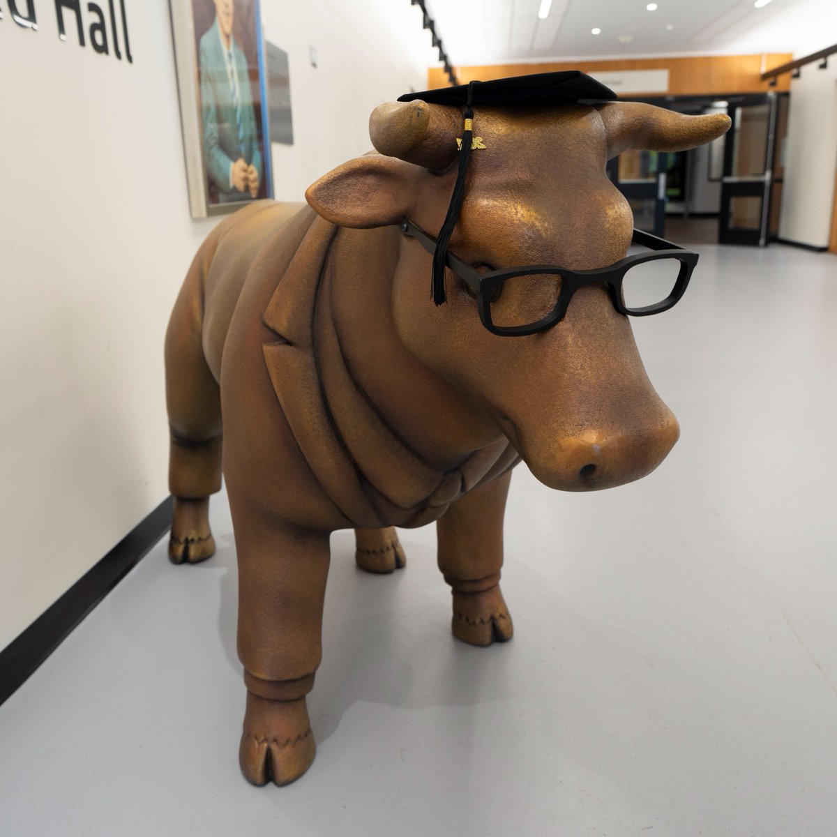 Teddy Bull is all dressed up and ready! He tips his horns to the Haskayne graduates convocating next week and wishes them a bright future ahead. May your careers be as unstoppable as a bull market! 🐂 📈