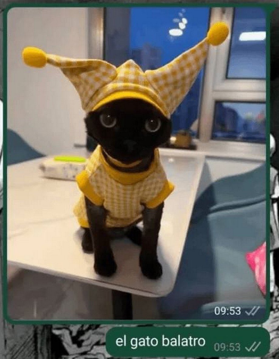 lars (@redbullabuser) on Twitter photo 