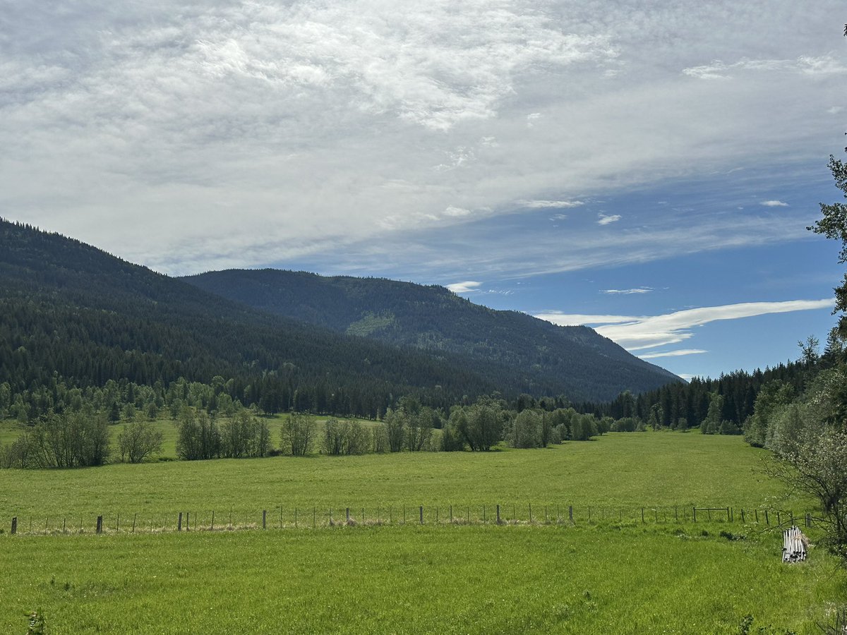 Beautiful day driving through the valley love it when everything is so lush #RemoteLiving #OffGrid #sustainable living #BeautifulDays