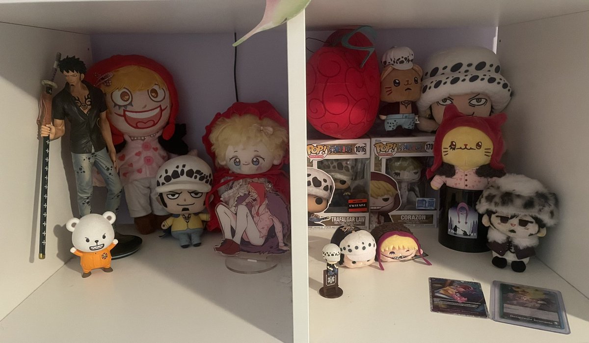finally put all my cora and law stuff into two separate shelves!!!!! (+ i still have my filled ita bag)
i need cora figures but those are always like 100+ dollars 😭😭