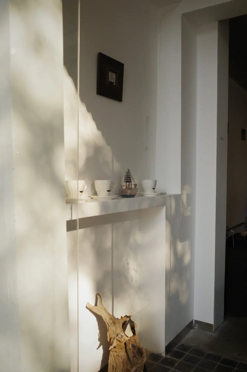 The warm sunshine shines in the quiet corner, and everything seems so peaceful. 🌿#Quiet #WarmSunshine #HomeLife #SimpleBeauty #NaturalLight