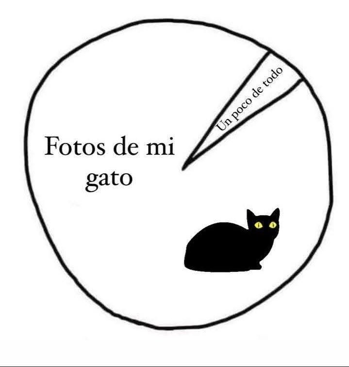 DiloConGatitoz's tweet photo. Mi celular: https://t.co/ugAC69X7Dl