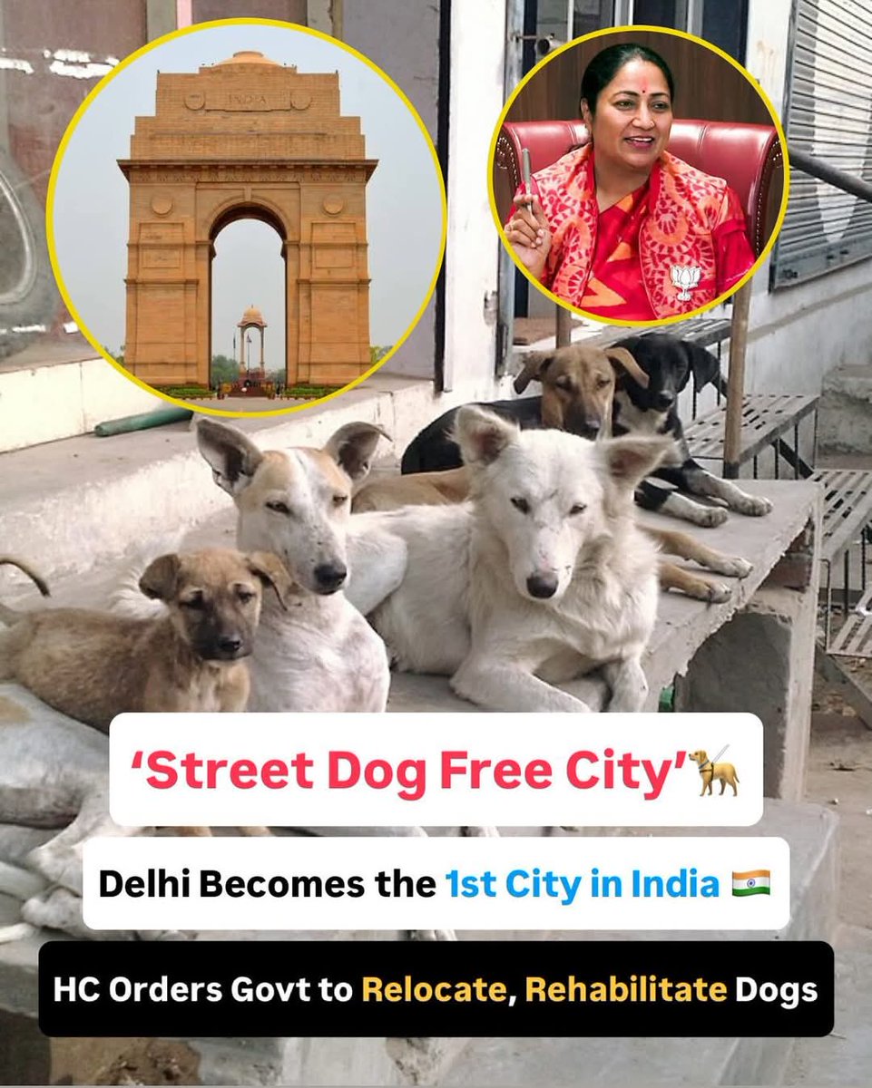 Why this anti dog attitude ? 
Have you lost all empathy ? 
<a href="/CMODelhi/">CMO Delhi</a> 

Please do go through all the rules ,no one is above the law.
#delhigovernment #dogs #strays #delhistrays <a href="/ANI/">ANI</a> #PTI 

#rekhagupta