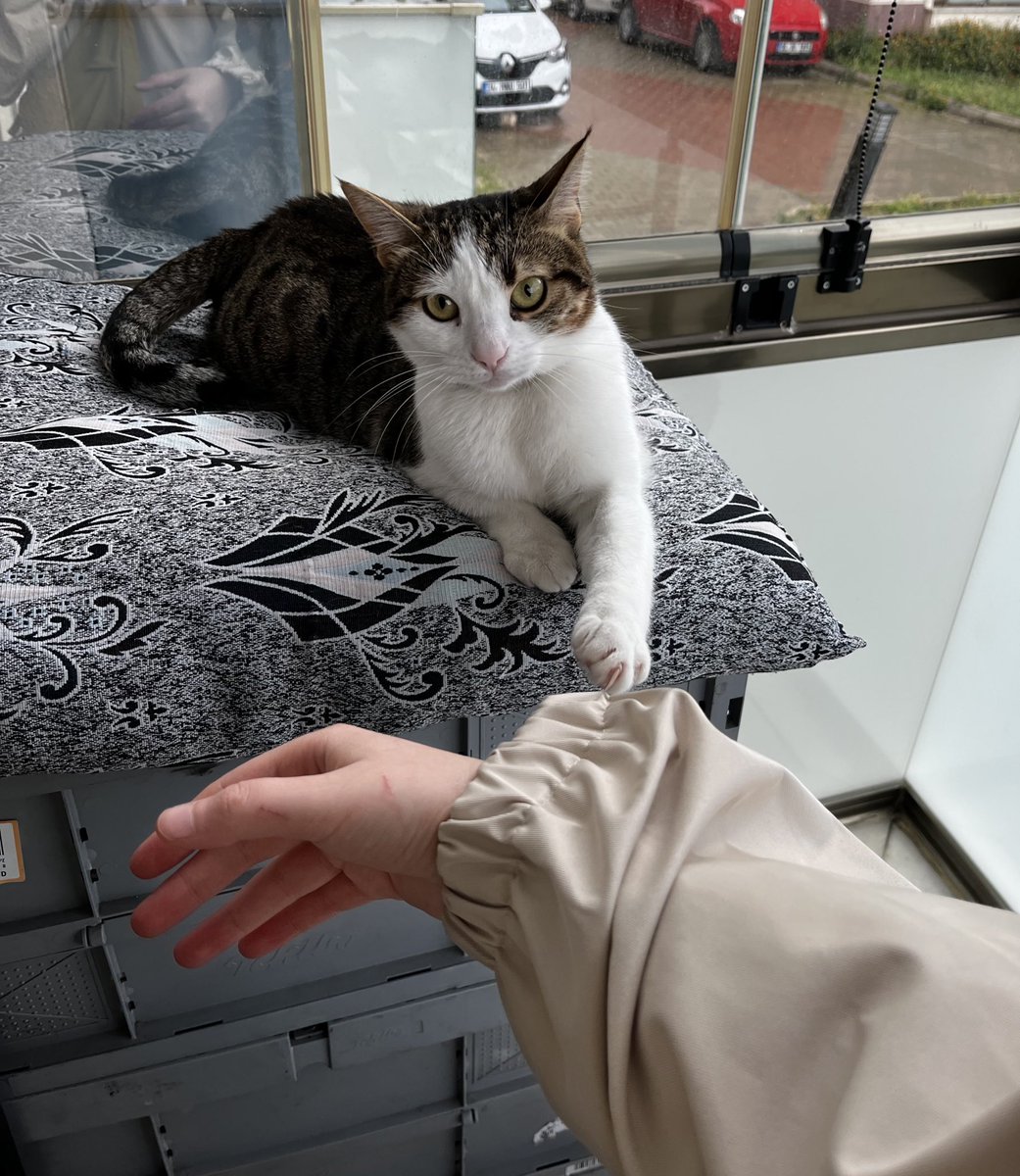 Gitme diyor ama mama parası lazım 🥲