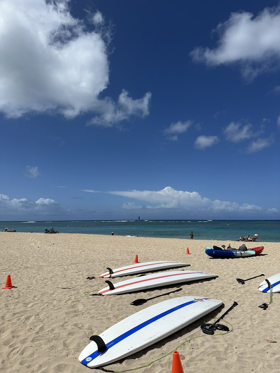 KingNicholas's tweet photo. 4 likes and I just say fuck it and move to Hawaii https://t.co/qERzr3aPVy