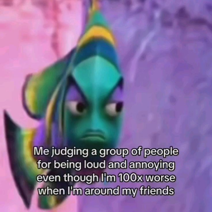 Wild TikToks (@wildtiktokss) on Twitter photo 