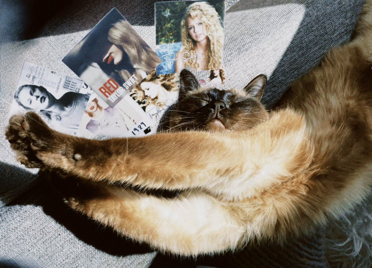biancadello's tweet photo. 💚💛💜❤️🩵🖤in my excited era rn 🫶🏼🫶🏼🫶🏼🫶🏼🫶🏼 @taylornation13 @taylorswift13 #TaylorSwift #TaylorsVersion https://t.co/qasbovMMPG