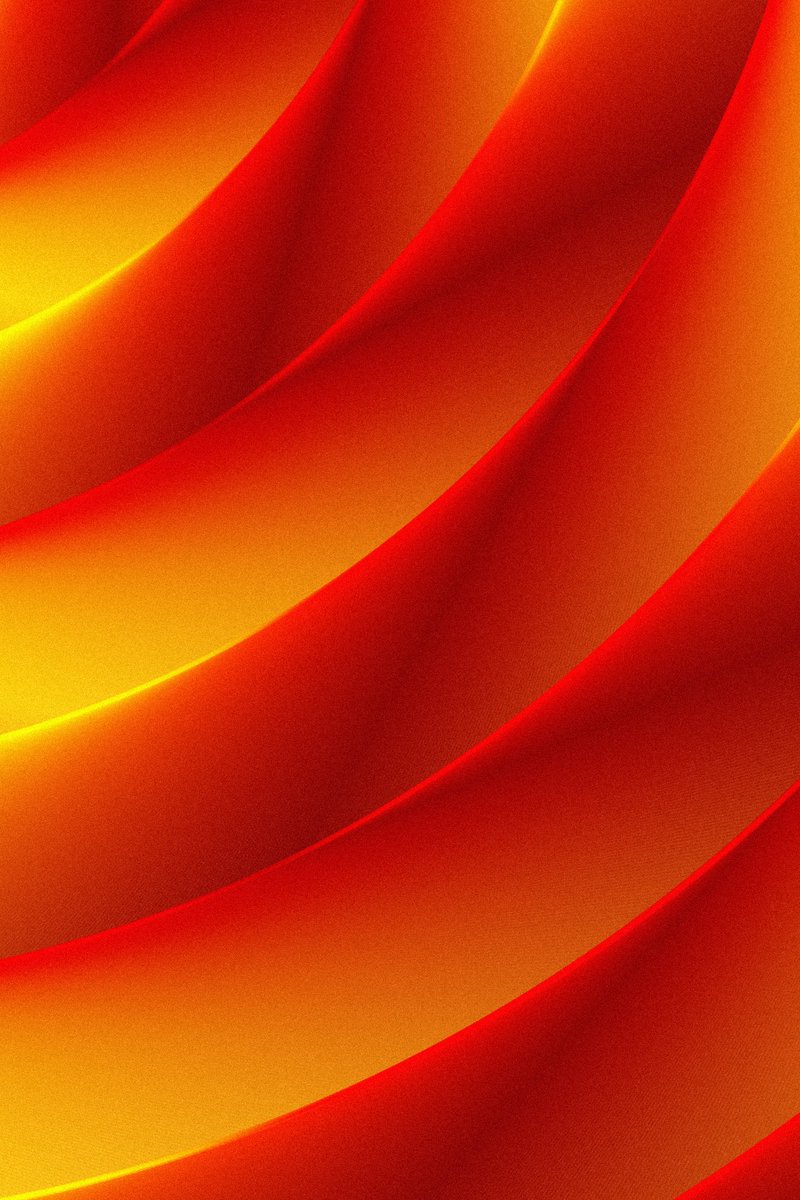 Lammetje tweet media