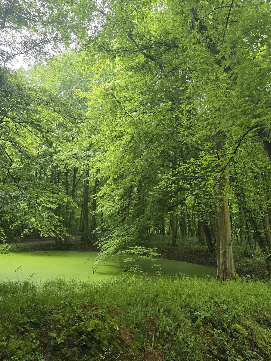Bonjour, très beau week-end