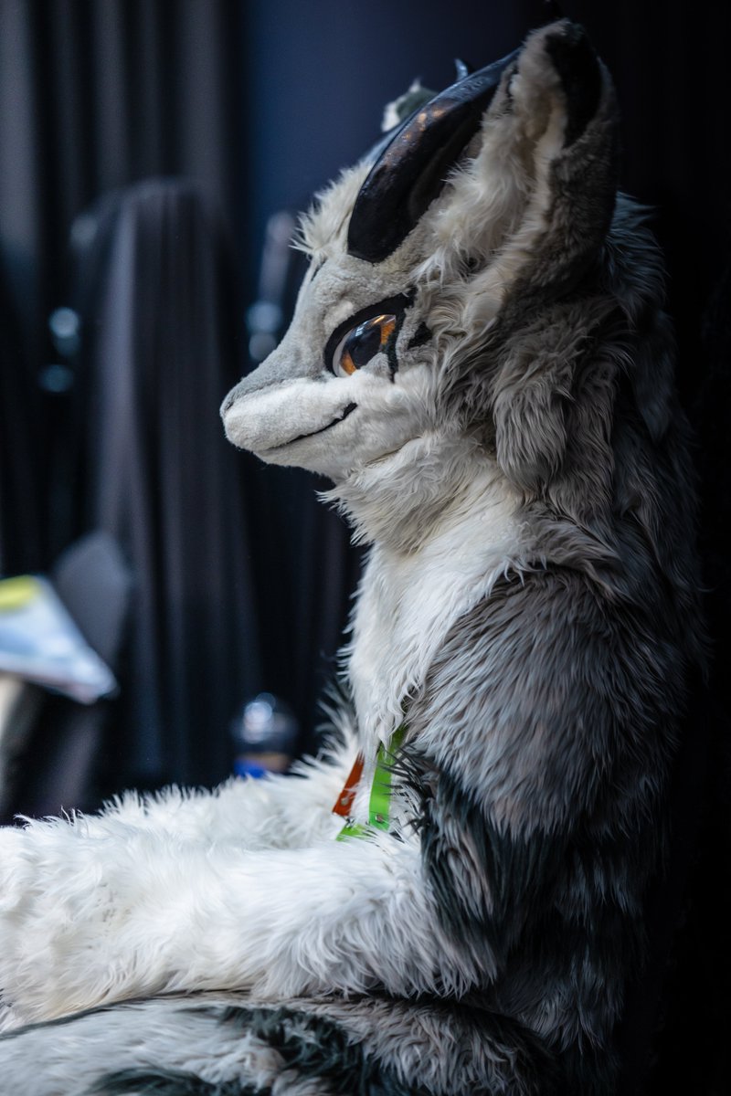 #FursuitFriday
하노 대기중(?)🫠