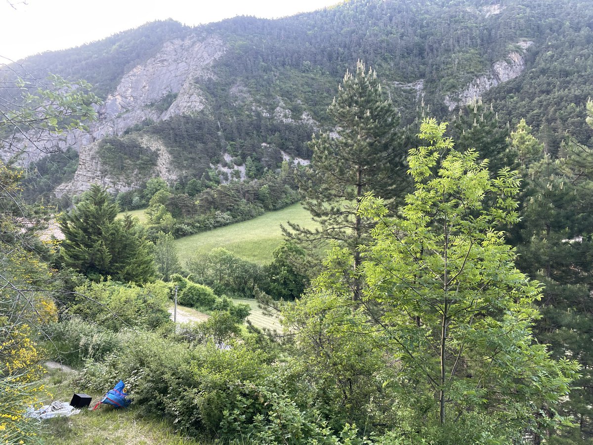 James Lowen (@jlowenwildlife) on Twitter photo Yeah, not a bad site to do some mothing⦠Time approaches for moth show and tell for the guests on our ā¦<a href="/travel_wildlife/">Wildlife Travel</a>ā© Vercors tour Yeah, not a bad site to do some mothing⦠Time approaches for moth show and tell for the guests on our ā¦<a href="/travel_wildlife/">Wildlife Travel</a>ā© Vercors tour
