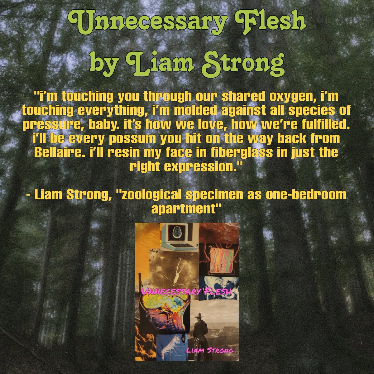 dogleechbooks's tweet image. we haven't been on X for awhile, but we have two new books out this year! "Free Bleeding" by Lydia Bush and "Unnecessary Flesh" by Liam Strong.
check them out on our website, along with all our 2024 books 👁