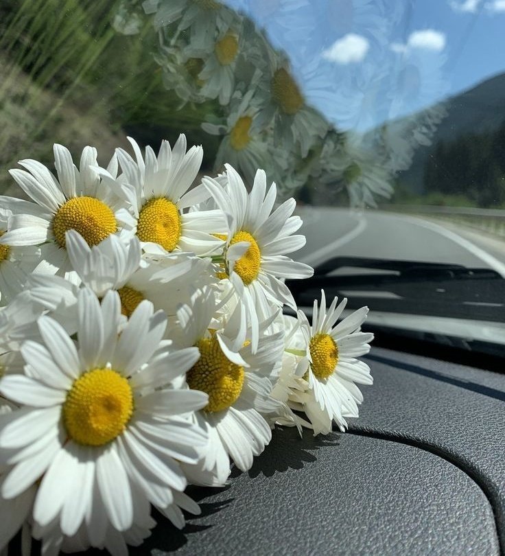 Bir yolun varsa gidilecek sona bırakma,
Bir sözün varsa dilden yüreğe,hiç susma.
Görmen gerekiyorsa birini,git yanına.
Okşaman gereken bir yürek varsa,
Esirgeme elini.

#Güne_Notum 
#Huzurla