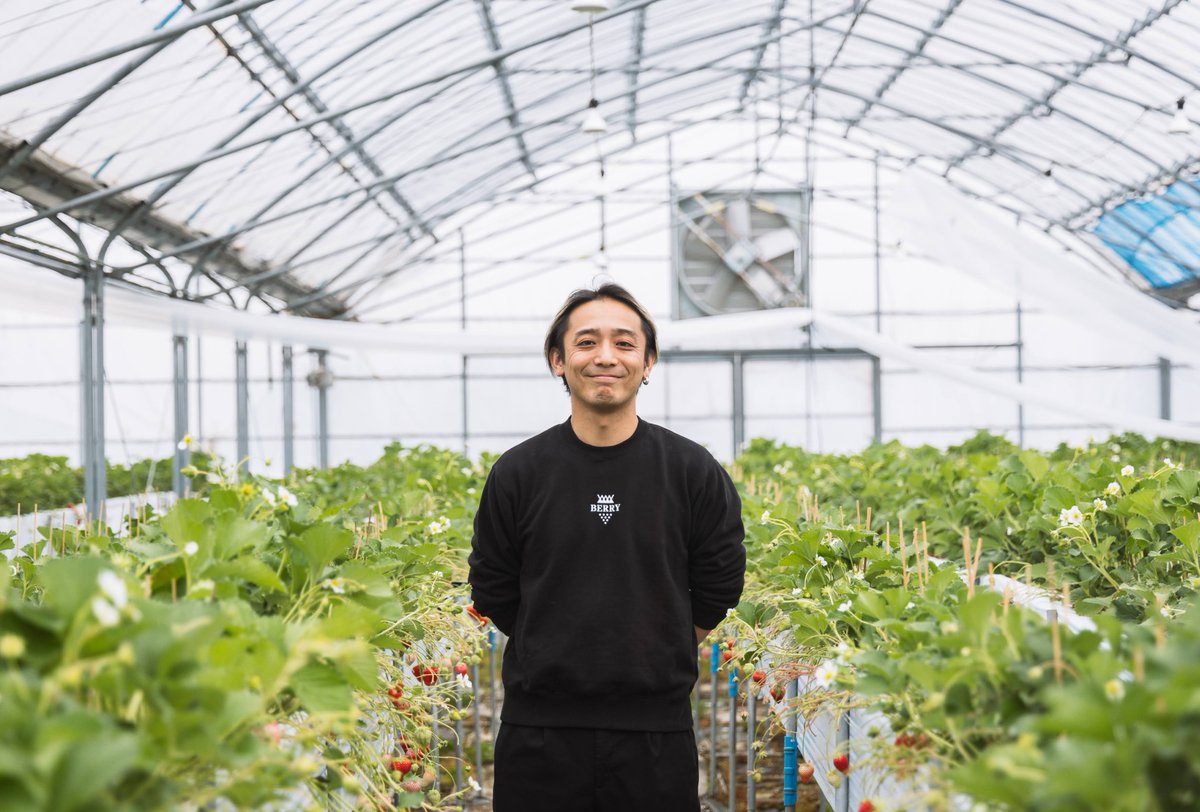 daiki_berry's tweet photo. At BERRY, people rebuilding their futures grow Japan’s sweetest fruit — and you can taste the result.

Back #SweetHope on @Kickstarter from just $1 and get craft strawberries shipped to the 🇺🇸 US.

✨ Join us → https://t.co/A8WdOEhnTd
#Kickstarter #SocialImpact #農福連携 https://t.co/5THA0A4fIL