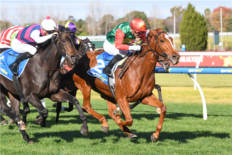 Relation to Zayydani could look to follow in her sister’s footsteps after third straight win at Caulfield ⬇️

racingandsports.com.au/news/racing/ne…