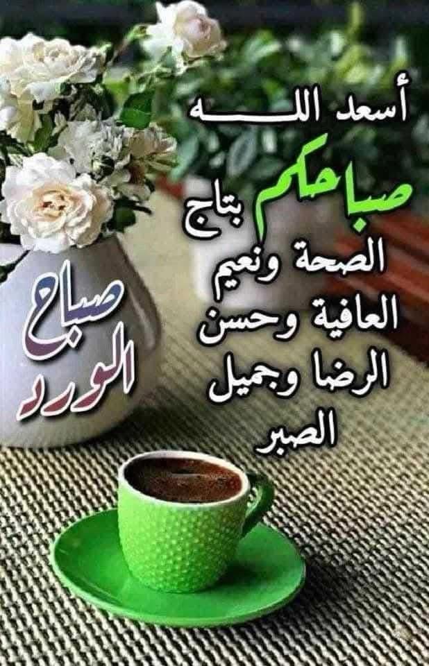 Alaa Hefny MOHAMED (@asd_hefny) on Twitter photo 