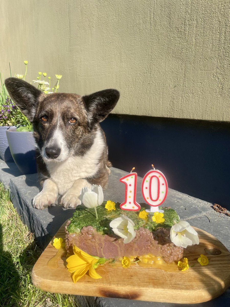 Bertai jau 10, kā tas laiks skrien!