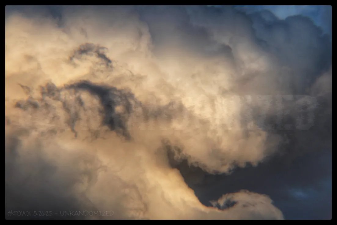 UnRandomized's tweet image. #cowx Random photography of clouds during severe weather on 5.26, and some flowers I thought were cool.
Captured in various areas near Denver, Co.