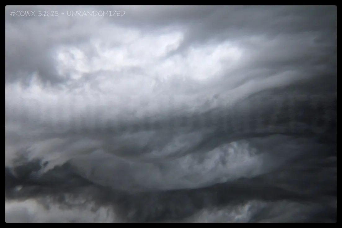 UnRandomized's tweet image. #cowx Random photography of clouds during severe weather on 5.26, and some flowers I thought were cool.
Captured in various areas near Denver, Co.