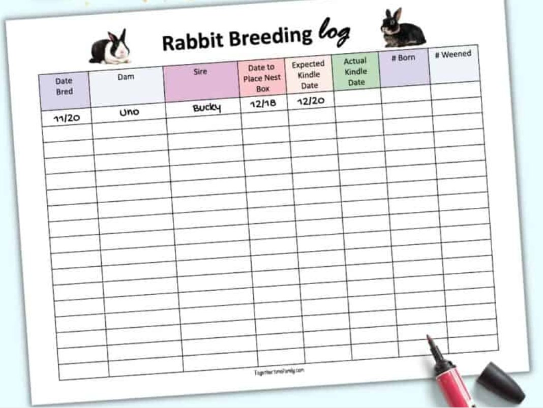 Track daily:
📆 Feed type &amp; qty
💉 Vaccine dates
👶 Birth records
🐇 Growth weight
📲 Excel, notebooks, or rabbit apps.
Digital data = precision profit.
#AgriHopper #SmartFarmTools #RabbitData