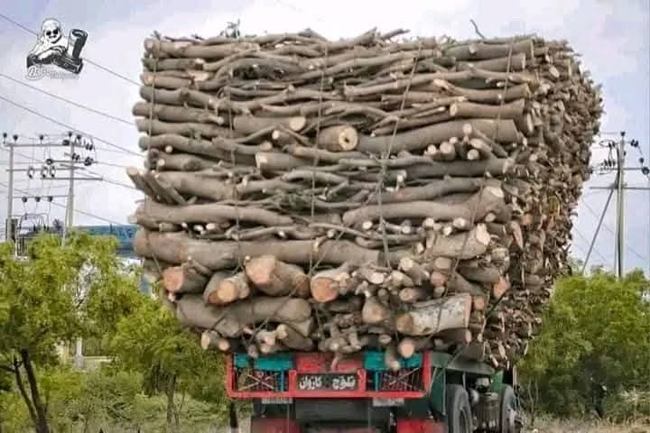 BalochHafeez201's tweet image. Sindh’s Kohistan region — from the hills of Malir, Karachi to Kirthar National Park — is an ancient land rich with forests, mountains, rivers, and cultural heritage.
Now, it's under siege. 🌍⚠️
@UN @UNEP 
1/5
#SaveKirtharNationalPark