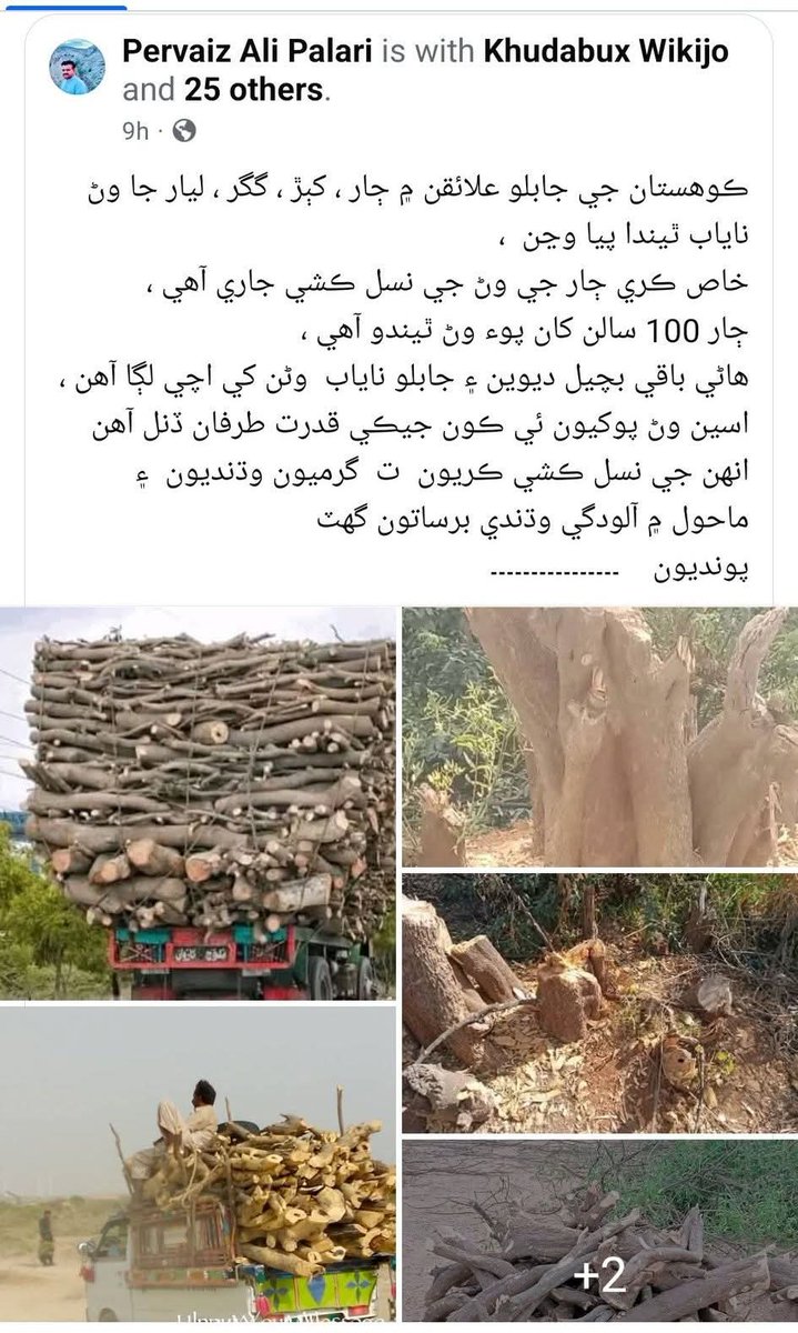 BalochHafeez201's tweet image. Sindh’s Kohistan region — from the hills of Malir, Karachi to Kirthar National Park — is an ancient land rich with forests, mountains, rivers, and cultural heritage.
Now, it's under siege. 🌍⚠️
@UN @UNEP 
1/5
#SaveKirtharNationalPark