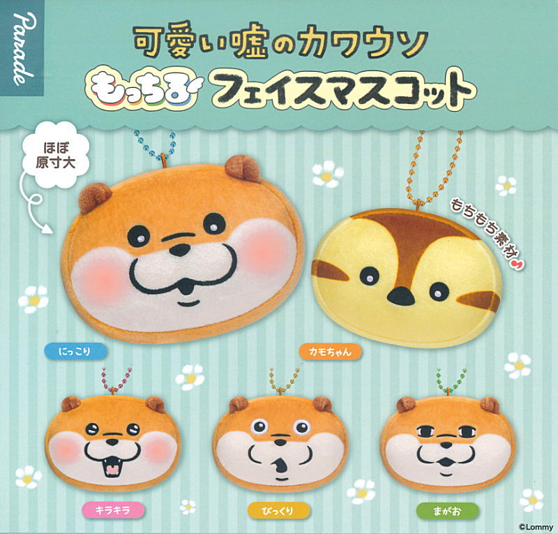 ✨新商品案内 2025年5月31日(土)✨／ ☑️可愛い嘘のカワウソ もっちる