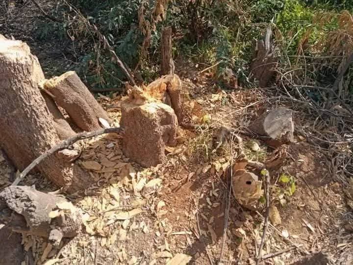 BalochHafeez201's tweet image. Sindh’s Kohistan region — from the hills of Malir, Karachi to Kirthar National Park — is an ancient land rich with forests, mountains, rivers, and cultural heritage.
Now, it's under siege. 🌍⚠️
@UN @UNEP 
1/5
#SaveKirtharNationalPark