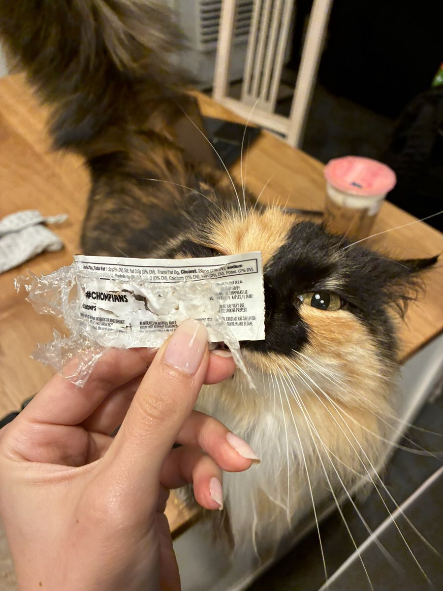 is this bitch gonna die she ate a turkey chomp while I was gone