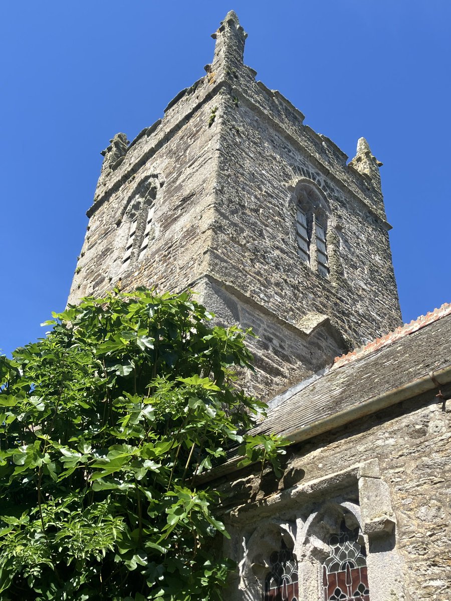 #SteepleSaturday
Manaccan church, Cornwall, complete with fig tree growing out of the south wall - reputed to be at least 200 years old 😃