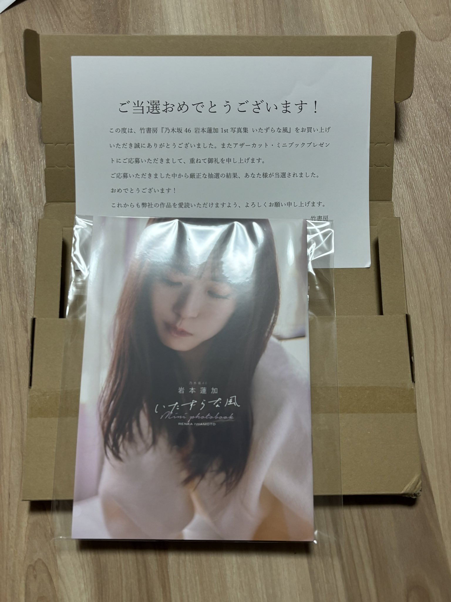 乃木坂46 岩本蓮加 1st写真集いたずらな風 アザーカット ミニブック 乃木坂