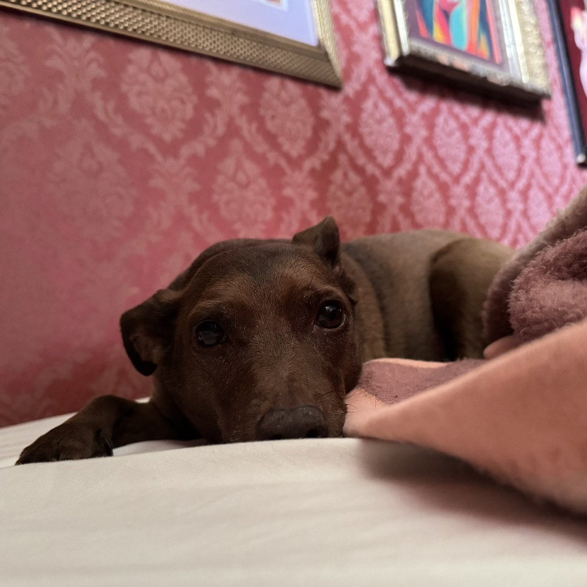 Time for bed. Goodnight darlings!