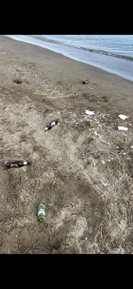 Başıboş sokak köpekleri sahillerimizi kirletiyor, sahiller, sokaklar güvende değil, toplayın başıboş sokak köpeklerinizi