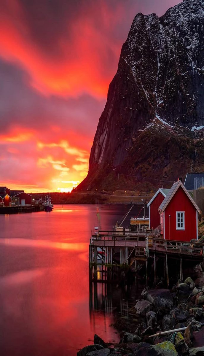 Nature Beauty tweet media