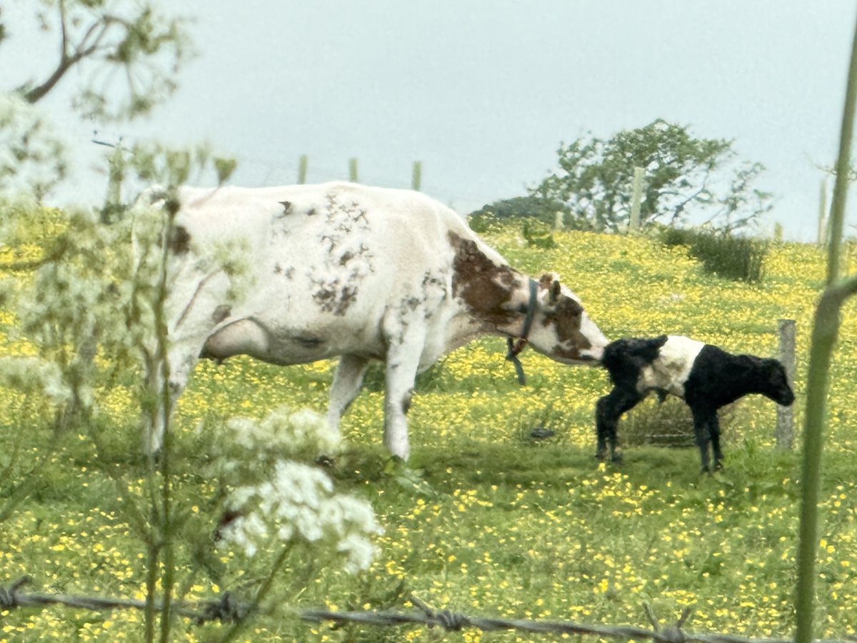 AN INTERPRETATION LIE

Every BIG food company make shiny adverts of nature at her best, wanting you to believe their colourful packets contain the best, most natural or most nutritious parts of nature on the market.

But, have you ever saw 'natural flavours' on the back of your