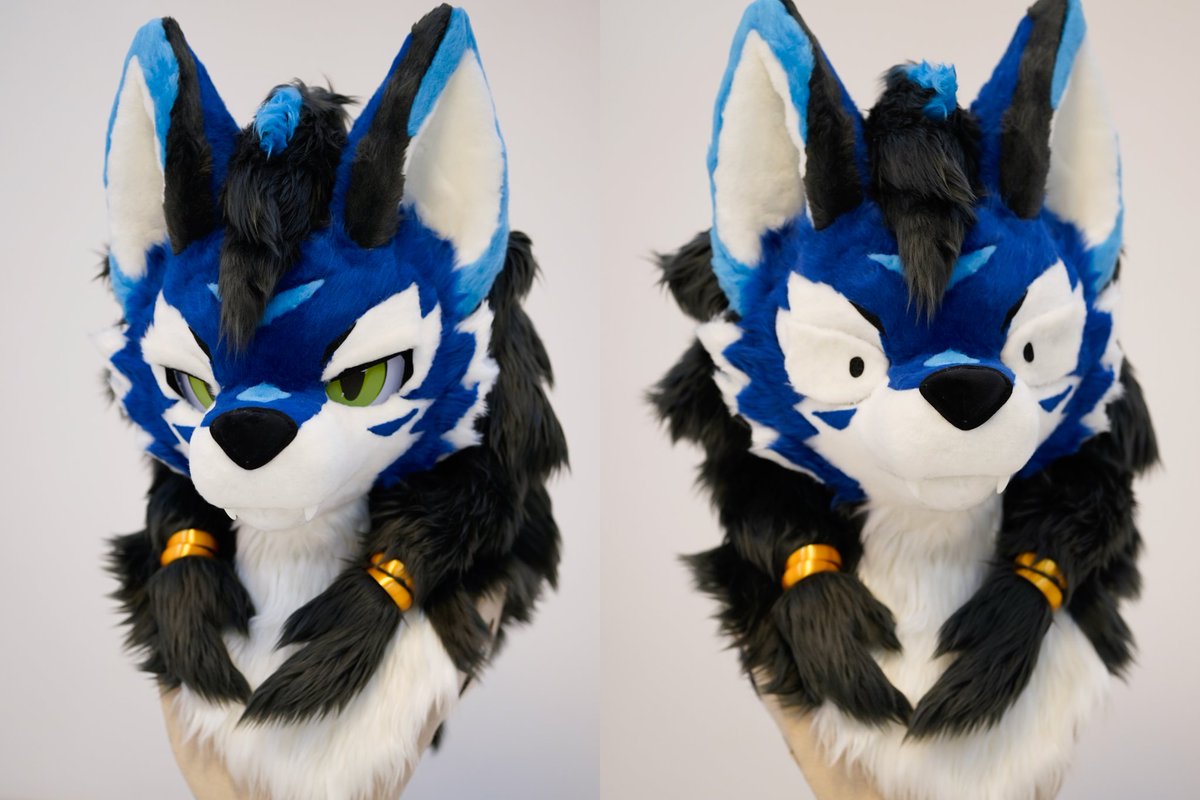 💙fursuit showcase.100%💙
🐺Owner:<a href="/JenonBBQ/">ジェノン</a>
Thanks for the commission!

蓝色系的大胜利！🥺
#Flypaws #fursuit #FursuitEveryday #fursuitcommission #兽装