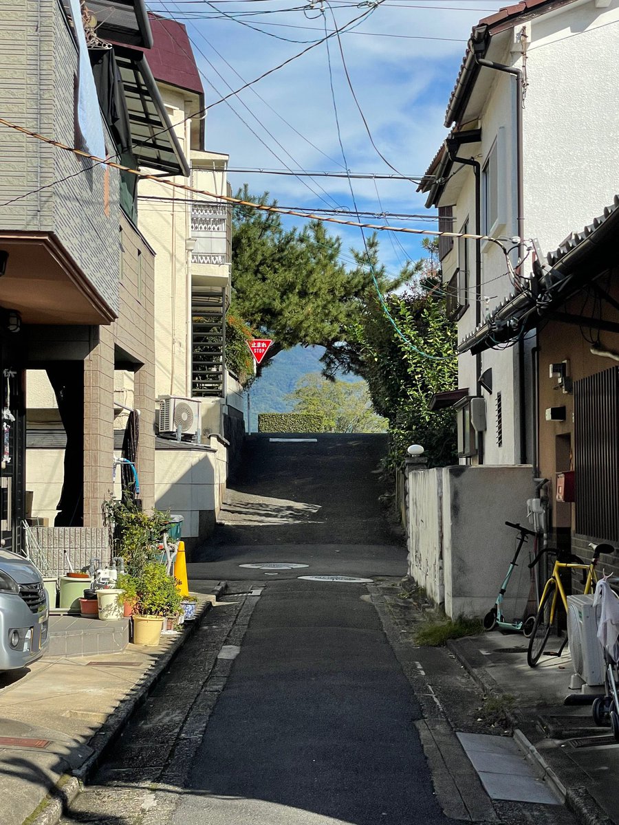 iiroji_bot's tweet image. 