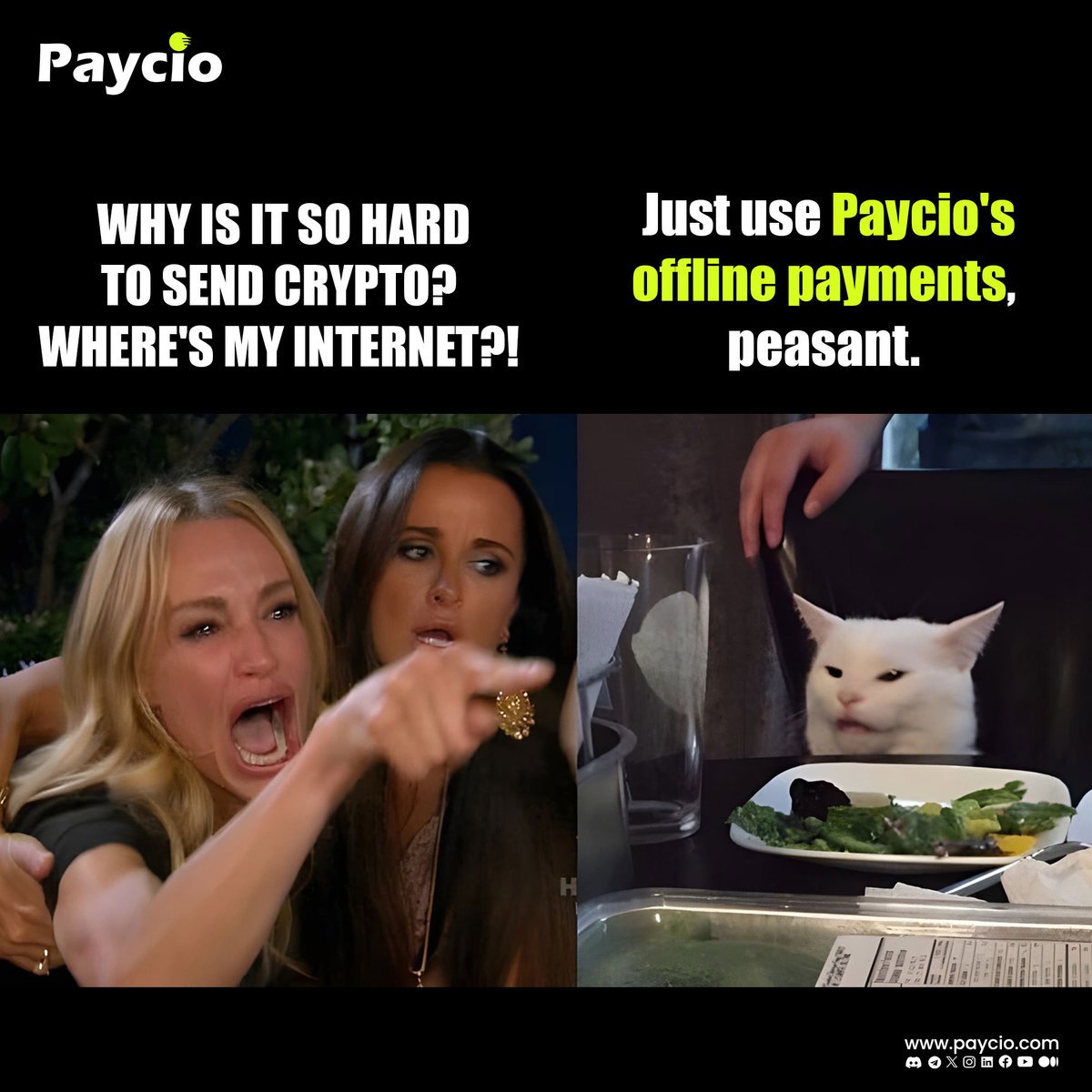 Even the cat knows Paycio's the real MVP when your internet decides to ghost. No internet? No problem! Just use Paycio!
Visit: paycio.com

#crypto #cryptocommunity #cryptomemes #cryptocurrency #payment #paymentdigital #paymentgateway #cryptoexchange #cryptocurrencies