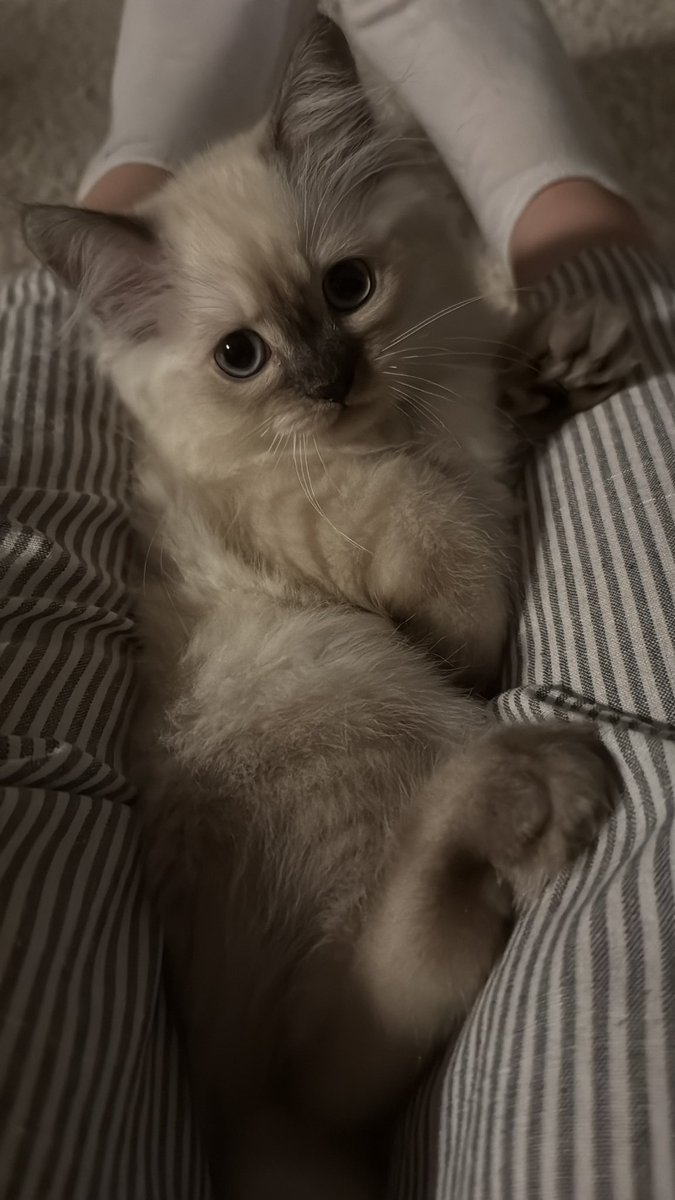 حنين الفيصل | Haneen (@ha14f) on Twitter photo 